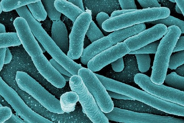 baktērijas, kas izraisa infekciozu prostatītu